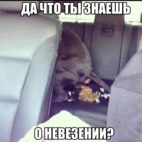 Эпические провалы