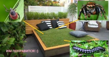 Мастер-класс: Украсьте свой сад оригинальной кроватью-клумбой