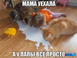 Фотоподборка за 09.02.2016