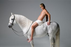 Прынц на бэлом коне! (стандартная модель)