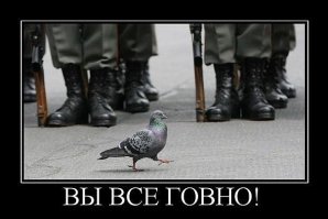 Эти 6 малышей животных настолько очаровательны, что сведут вас с ума