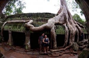 Удивительные деревья нашей планеты