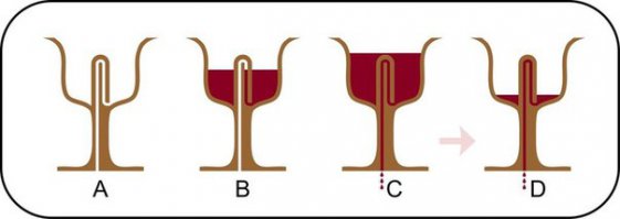 Секрет кувшина «напейся не облейся»
