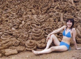 Японцы такие затейники