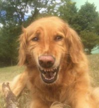 "Конструкция из углеродного волокна, экологически чистое производство"
Ахаха... Народ, а угадайте почему большинство карбона делают в Китае?