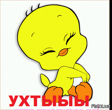 Из солянки от 09.02.2016