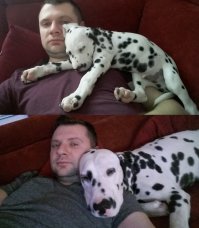 как время летит