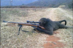 Очаровашки с огнестрелом