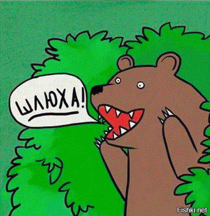 Медведь подсказывает