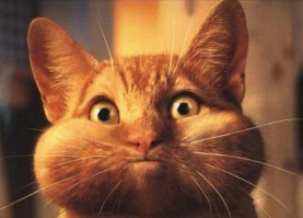 сначала так
а потом...БУМ!и понесло...