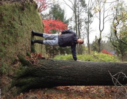 Нет, оригинально вот это, а там развёрнуто)