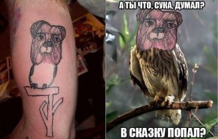 Прикольные картинки