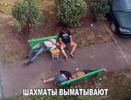 Прикольные картинки