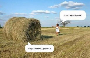 Они придут за тобой (1 фото+видео)