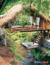 Фотоподборка за 11.02.2016