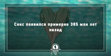 что-то сомневаюсь в фишечном постулате, глядя на шкалу зарождения жизни...