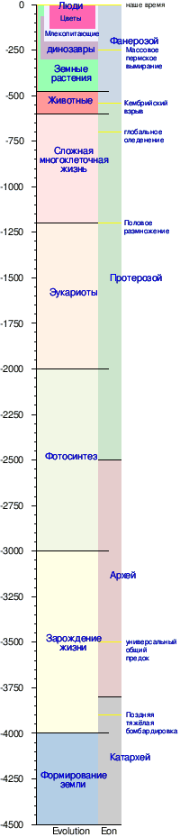 что-то сомневаюсь в фишечном постулате, глядя на шкалу зарождения жизни...