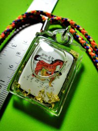 Тайский амклет. Уже не помню, от/для чего... Наверно, что-то, связанное с либидо...