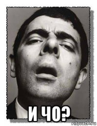 Голубь - бомж