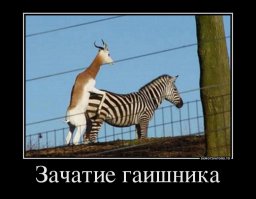 "Вы в эфире". Взятка в кулачке