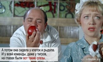 Животные в кино: 5 необычных судеб