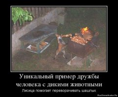 Самая жизнерадостная домашняя лиса в мире