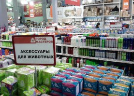 Фотоподборка за 11.02.2016