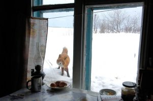 Где-то в России:)