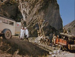 Жители Коркино спасли кота, который  забрался на деревянный столб ЛЭП и просидел там три днЯ