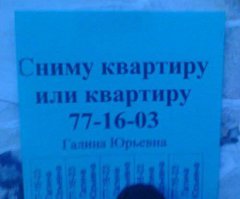 Супруга товарища капитана?!! Ну, очевидно...