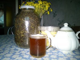 Тоже давно уже слышал о пользе и необычайном вкусе этого чая. Я хоть и тот еще лентяй, решил заморочится - и приготовил сам. Технология довольно замысловата - заготовка, подвяливание, скручивание-сминание, ферментация 3-4 дня и сушка в духовке. Действительно, очень вкусный чай, сейчас пью только его ну и другие душистые травы, про индийский забыл. Рекомендую!Доброго всем здоровья! ;)