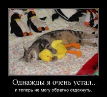 Когда обожрался так, что лень пошевелиться