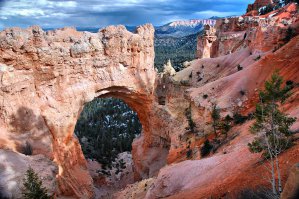 22 фотографии природных образований, похожих на творение человека