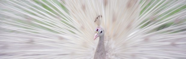 Потрясающие снимки «произведений искусства», созданных самой природой