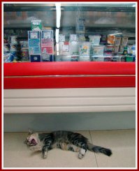 он на службе и я на службе...