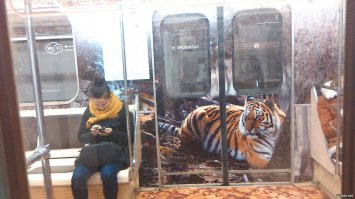 Киску жалко.При открытии дверей её каждый раз рвет пополам.