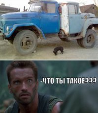 Даже железные нервы Арни не вынесли этих фотографий!