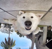 Фотоподборка за 12.02.2016