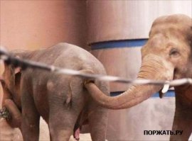 Да пусто там. Иши, иши что-то должно быть.