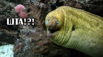 В Липецке устроят крестный ход против гриппа и ОРВИ