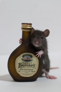 Трапеза в мире животных