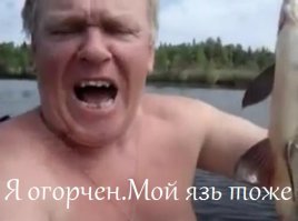 Наглая щука слямзила окуня