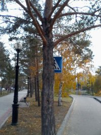 псс, парень, дорогу перейти не хочешь?