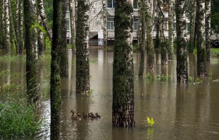 На фото: город Кострома. М\рн Юбилейный. 
 Это не озеро , и не разлившаяся речка. Это - Лужа...