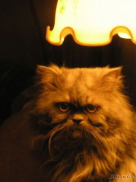 Анекдот был когда-то