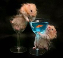 Трапеза в мире животных