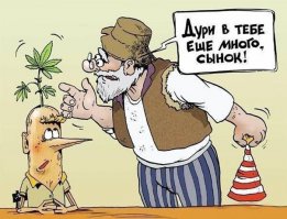 Смешные комментарии из социальных сетей 12.02.16