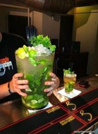 Прикольные картинки. Вечерний выпуск
