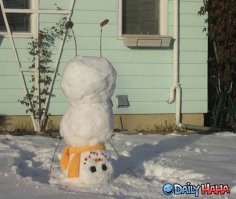 Прикольные картинки. Вечерний выпуск