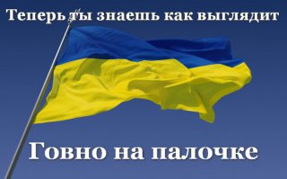 Что делать когда закончилась туалетная бумага